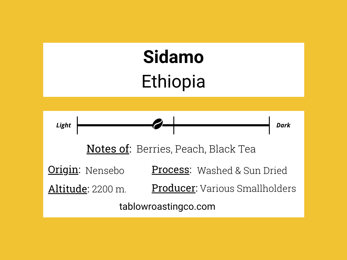Sidamo - Ethiopia
